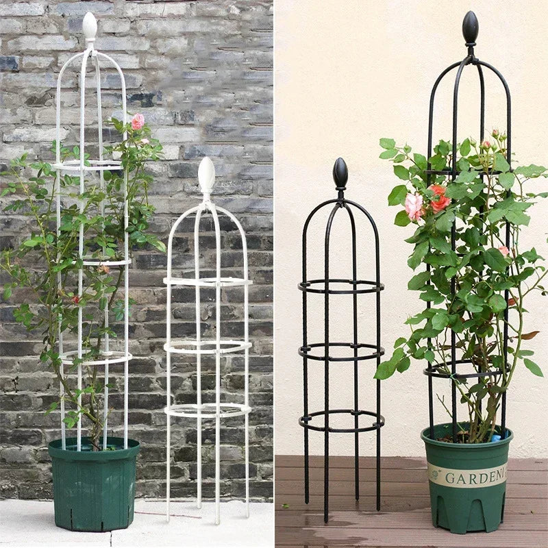 Plant Support Trellis Set for Potted Plants | Durable Climbing Grid | Fiberglass | Garden & Balcony