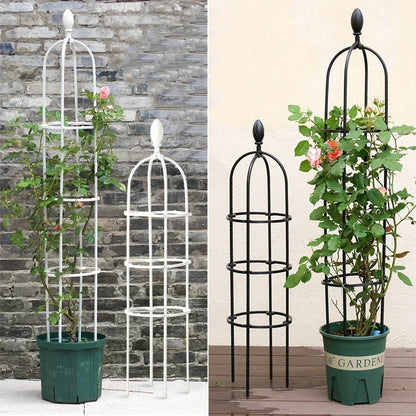 Plant Support Trellis Set for Potted Plants | Durable Climbing Grid | Fiberglass | Garden & Balcony