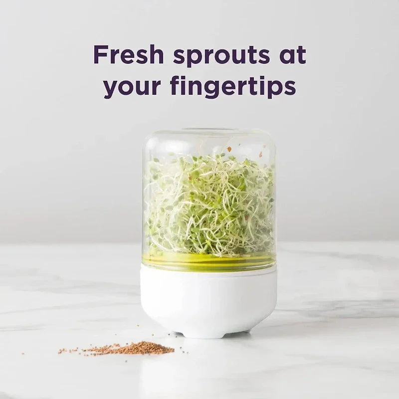 Glass Sprouting Device | 16 cm Sprout Kit with Drip System | Germination Set