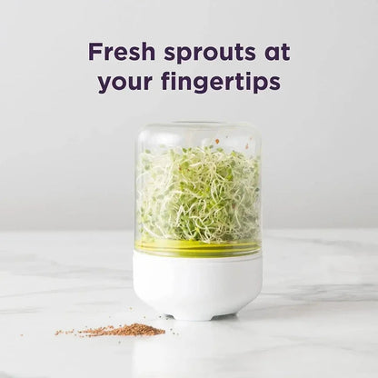 Glass Sprouting Device | 16 cm Sprout Kit with Drip System | Germination Set