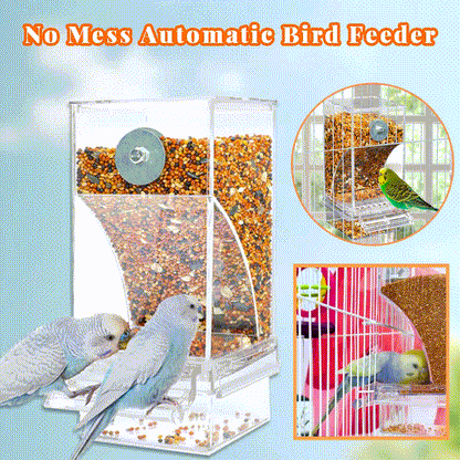 Transparent Bird Feeder with Automatic Overflow Protection
