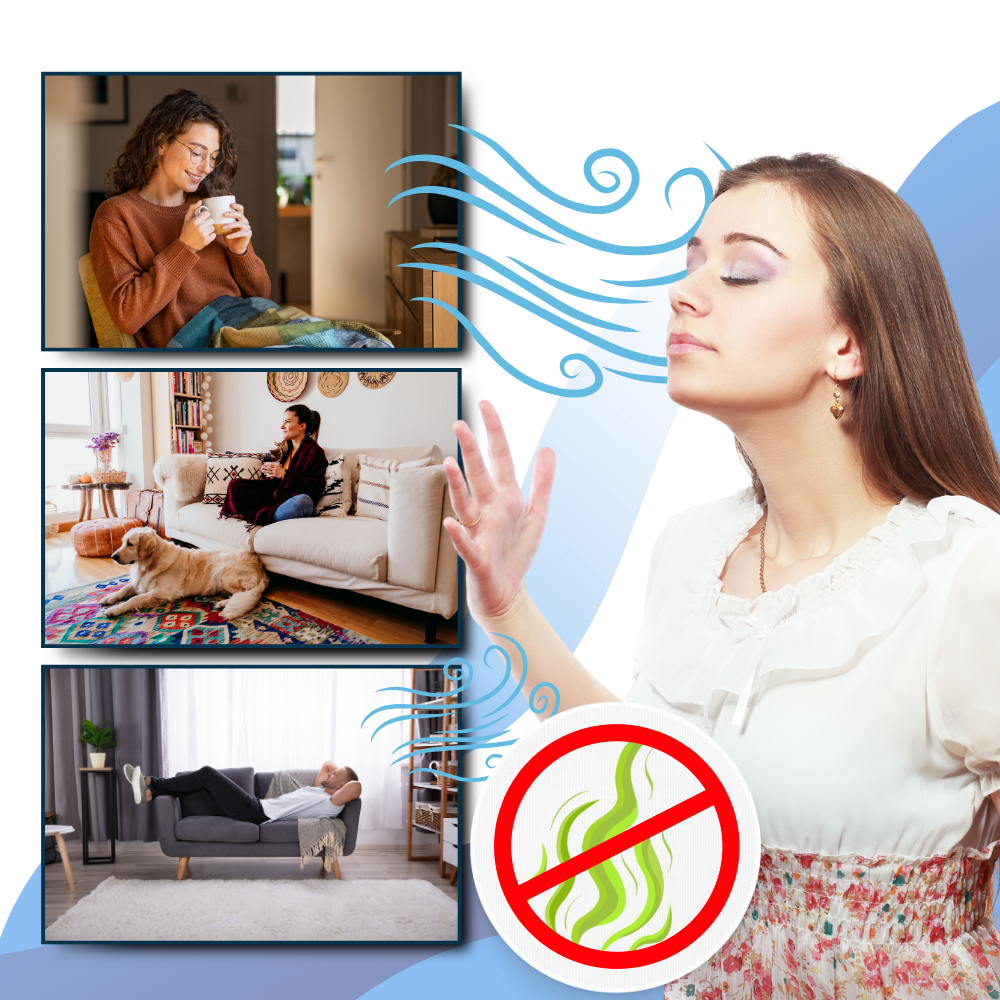Rapid Bed Bug and Germ Elimination for a Safer Home