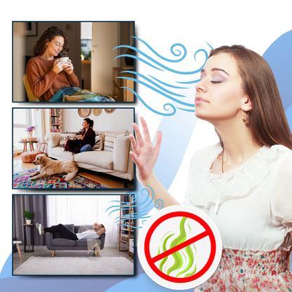 Rapid Bed Bug and Germ Elimination for a Safer Home