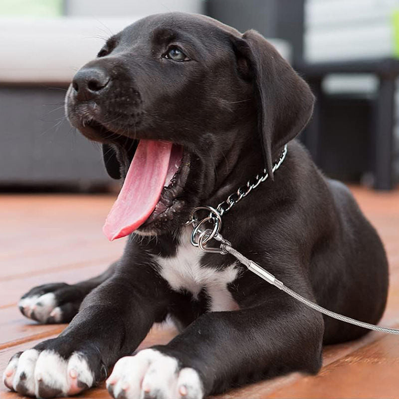 Heavy-Duty Outdoor Dog Leash for Safe Adventures