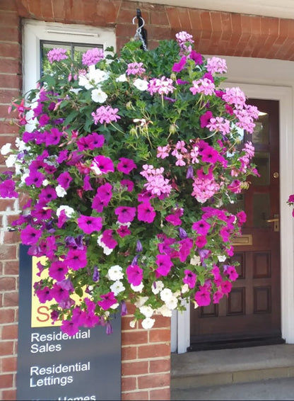 Buy 3, Get 3 Free | Vibrant, Low-Maintenance Color That Lasts