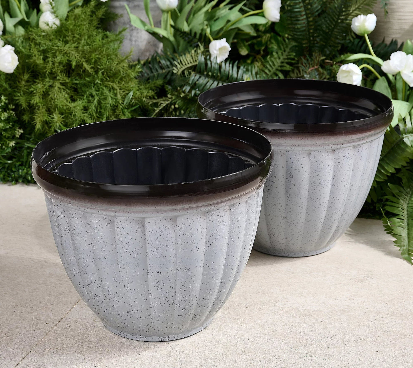 Textured Planter Pot for Thriving Roots | Dual Drainage | 5 Colors