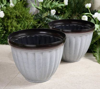 Textured Planter Pot for Thriving Roots | Dual Drainage | 5 Colors