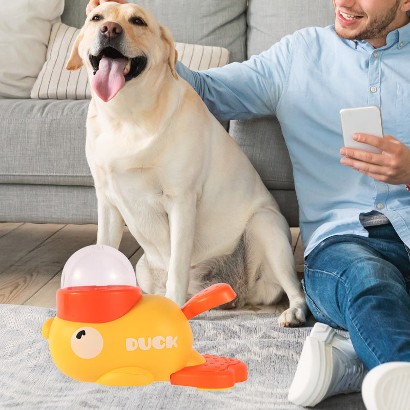 Engaging Pets While Keeping Floors Clean During Feeding