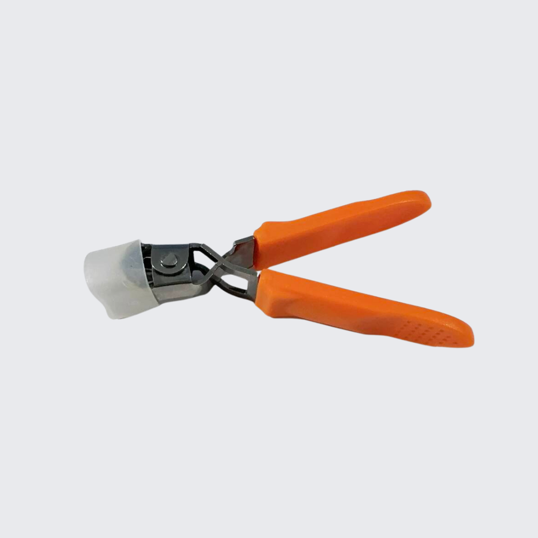 Precision Ingrown Nail Care for Every Trim