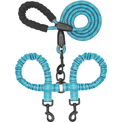 Effortless Walks with Two Dogs – Tangle-Free Design