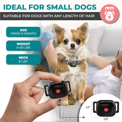 Adjustable Anti-Bark Collar for Small Dogs | Sound & Vibration | Waterproof IP87