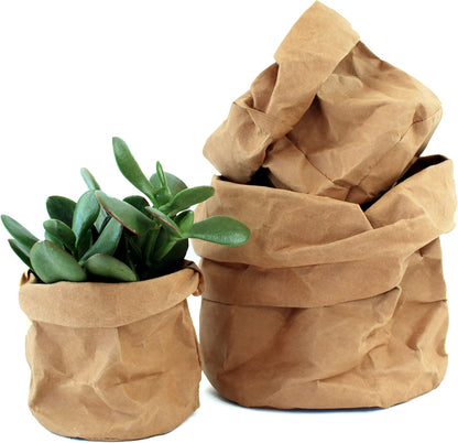 Collection of Eco-Friendly Decorative Planters