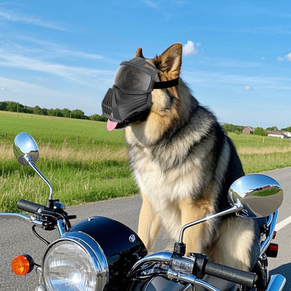 Tactical Sunglasses for Large Dogs - Full-Face Goggles, Windproof & UV Protection