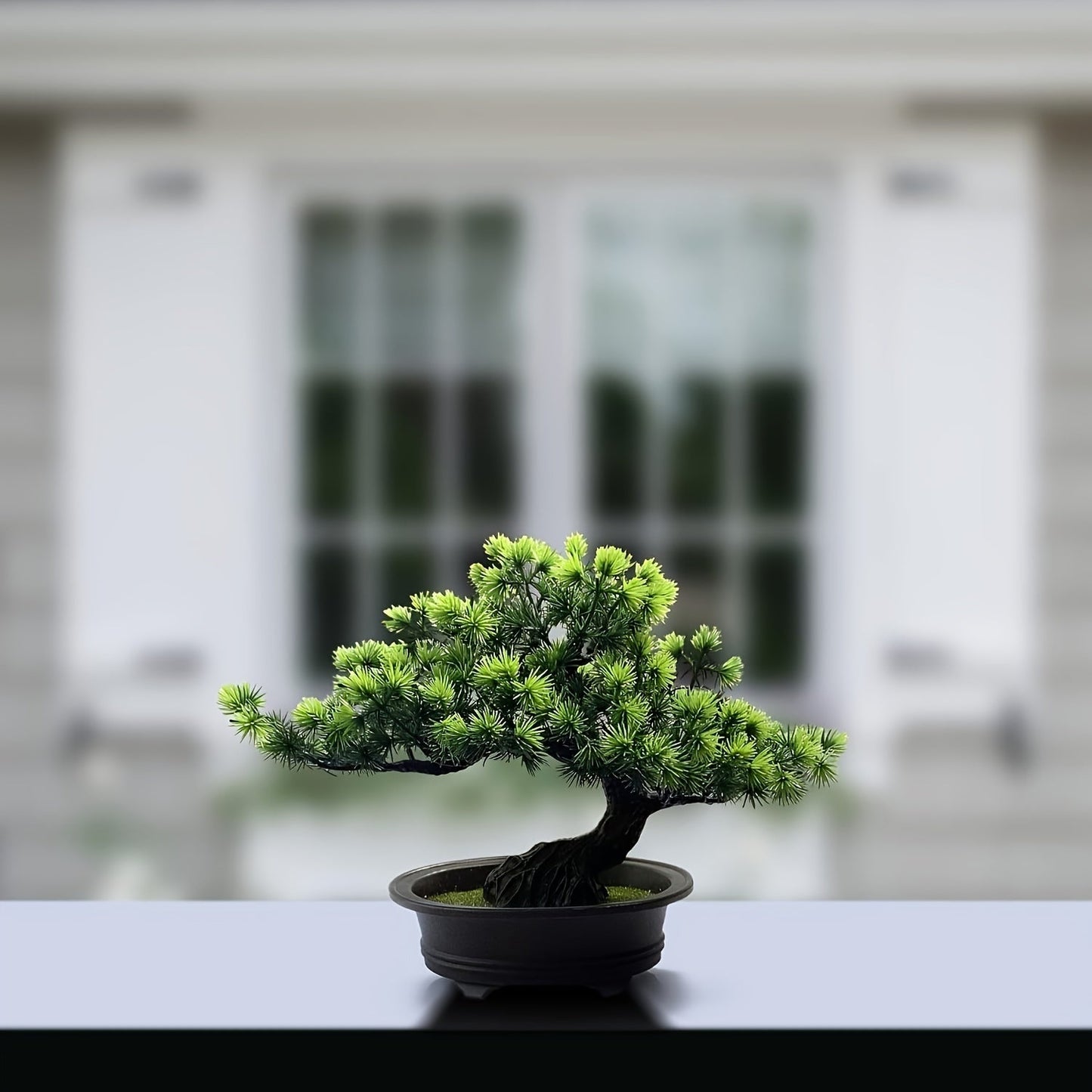 Bonsai Tree 24 cm | Evergreen and Low-Maintenance | Includes Black Pot