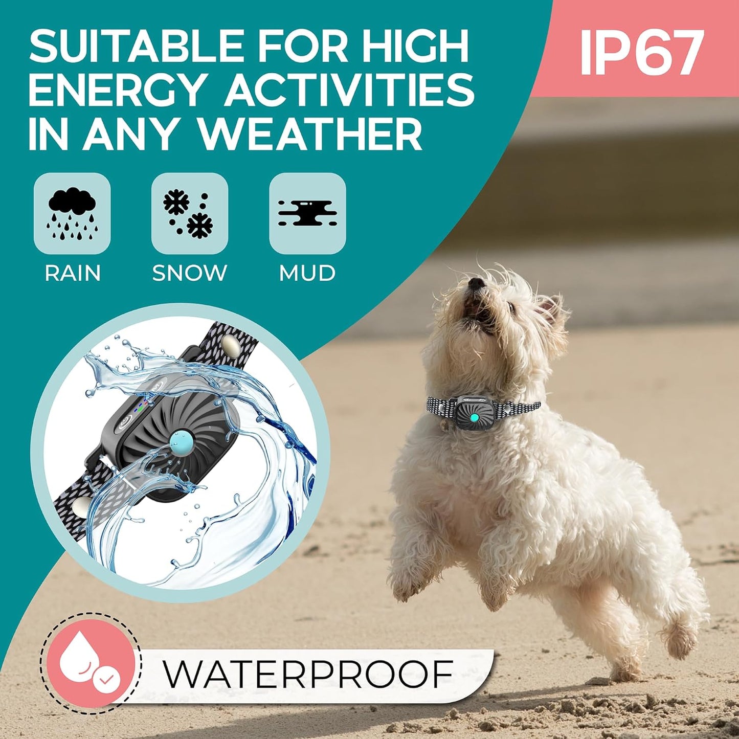 Adjustable Anti-Bark Collar for Small Dogs | Sound & Vibration | Waterproof IP87