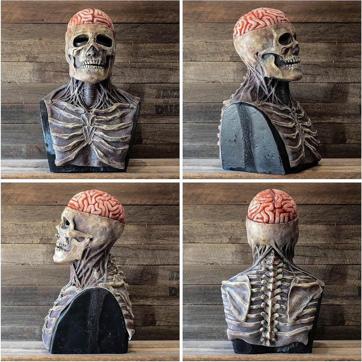 Skull Mask for Halloween Featuring Brain Design