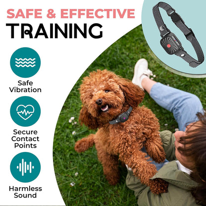 Adjustable Anti-Bark Collar for Small Dogs | Sound & Vibration | Waterproof IP87