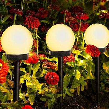 Buy One, Get One Free | Solar Garden Lights