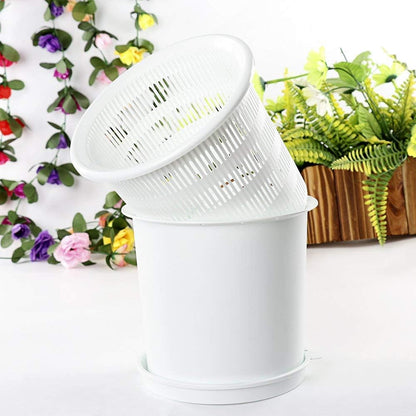 Promote Strong, Healthy Roots for Vibrant Plant Growth