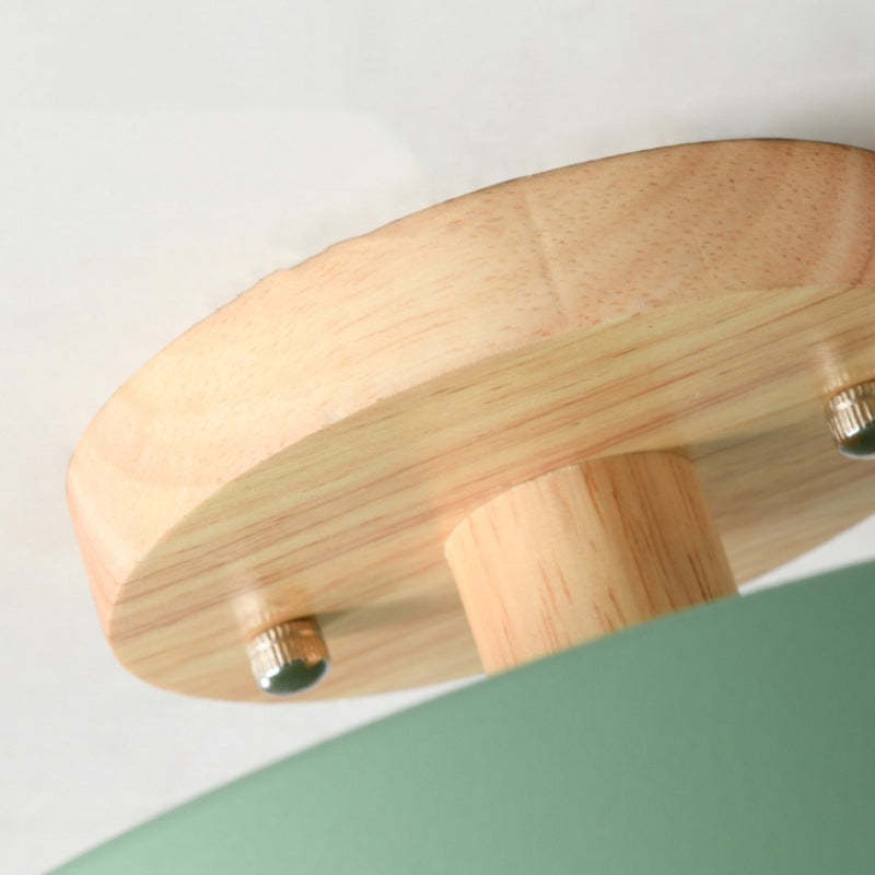 Contemporary LED Ceiling Light Fixture