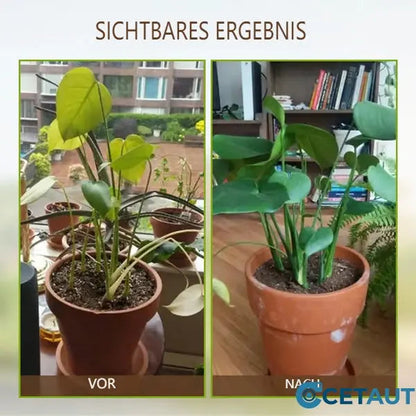 Get 1 Free | Soil Booster for Lush and Strong Plant Growth in Your Garden