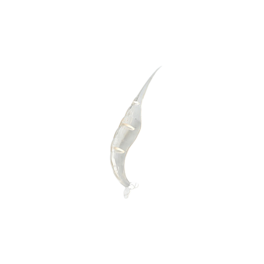 Shelling Tool for Shrimp – Easy Peeler