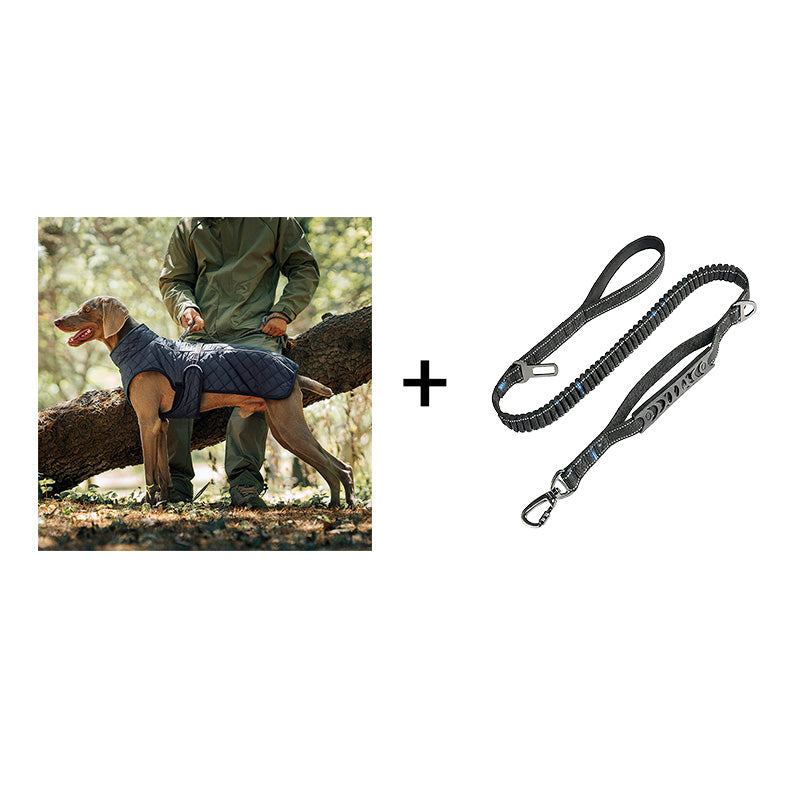 Keep Your Dog Warm and Visible During Every Walk