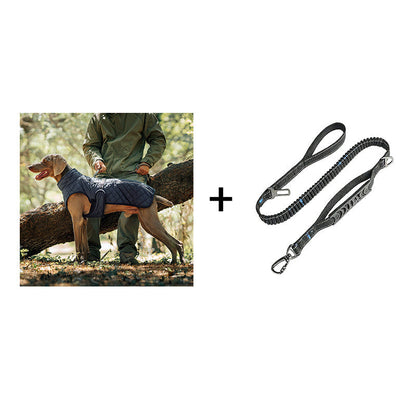 Keep Your Dog Warm and Visible During Every Walk