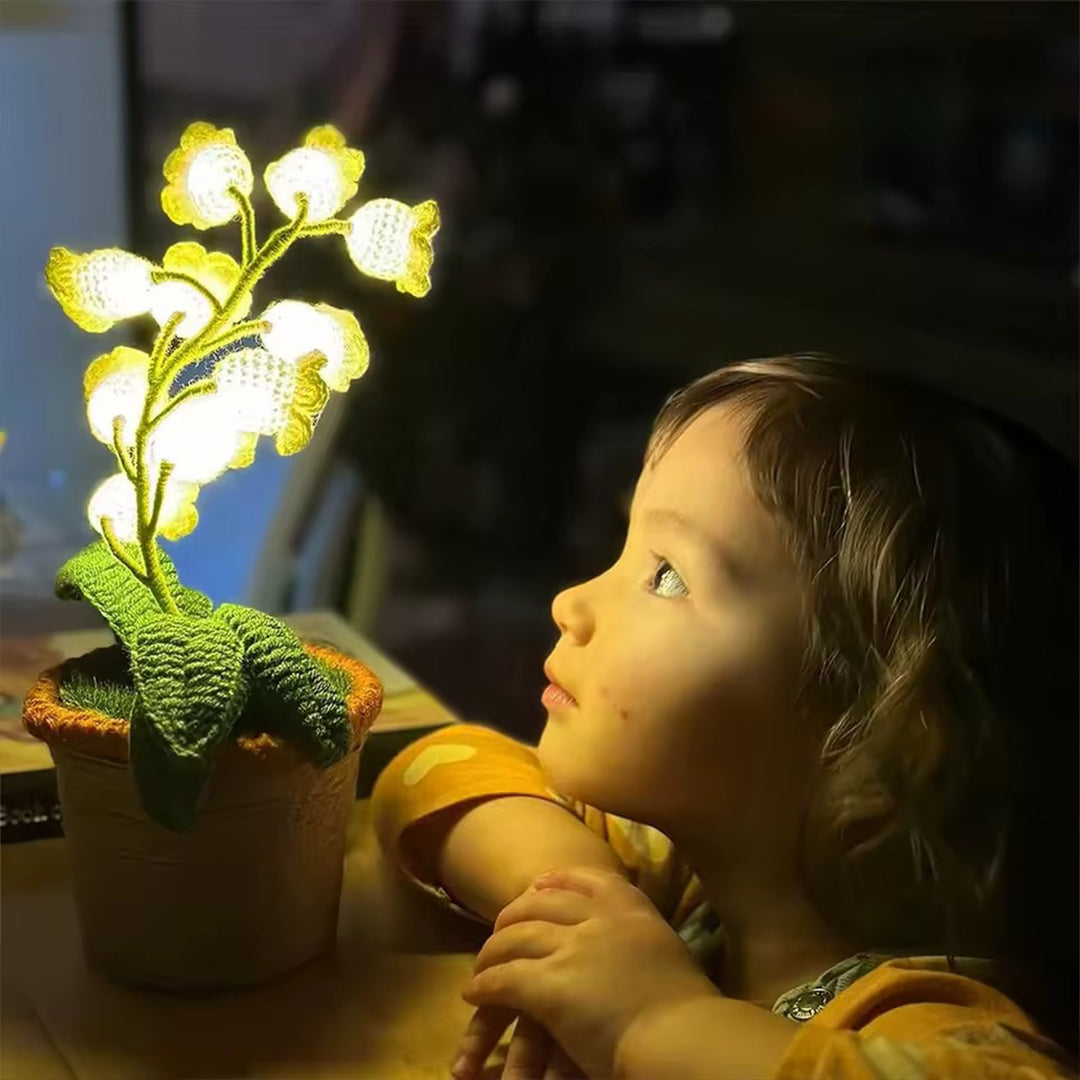 Cozy Night Comfort with Eternal Glow