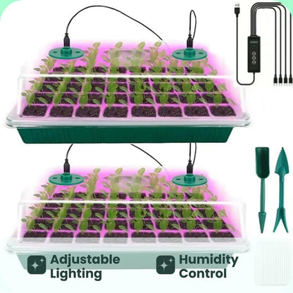 Quick and Robust Seedlings with Ideal Light and Moisture