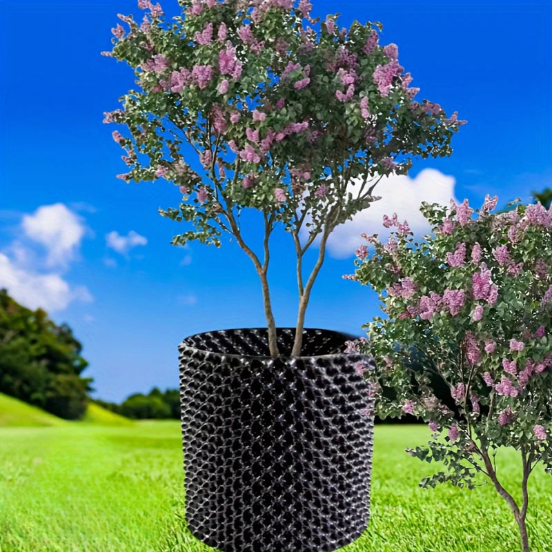Enhanced Root Growth Solution for Flourishing Plants