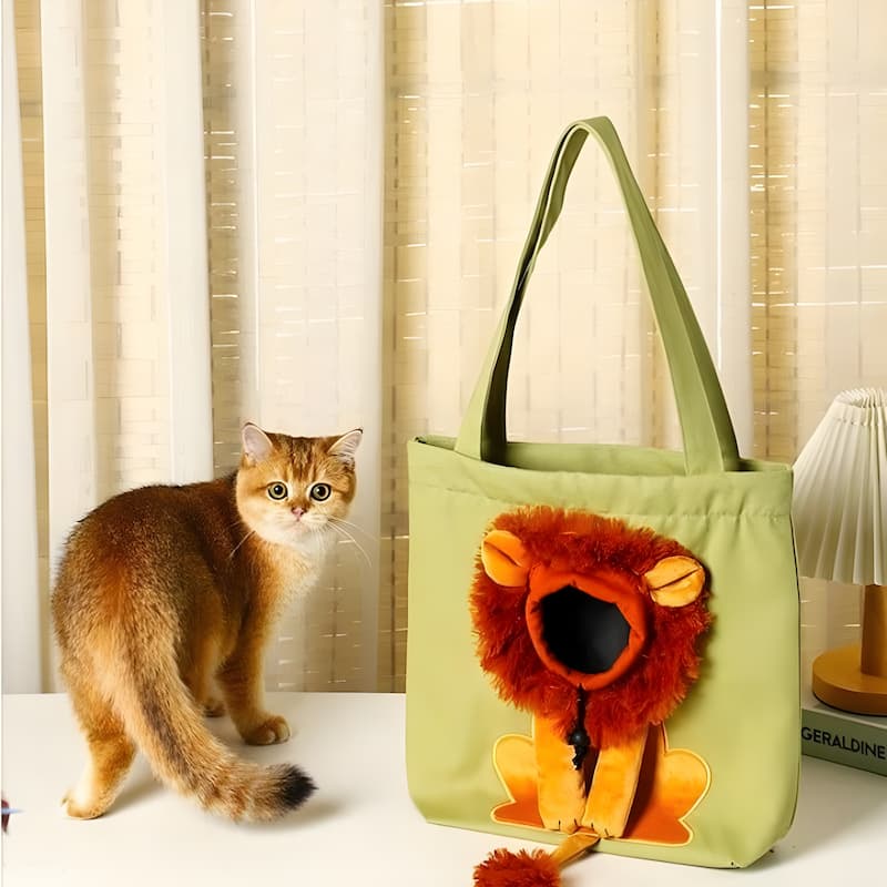 Safe and Comfortable Pet Transport Solution for Stress-Free Travel