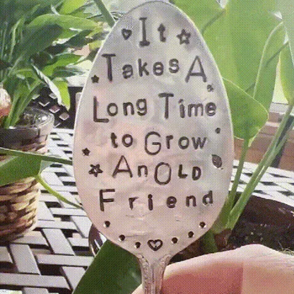 Buy One Get One Free | Connect with Every Plant You Grow