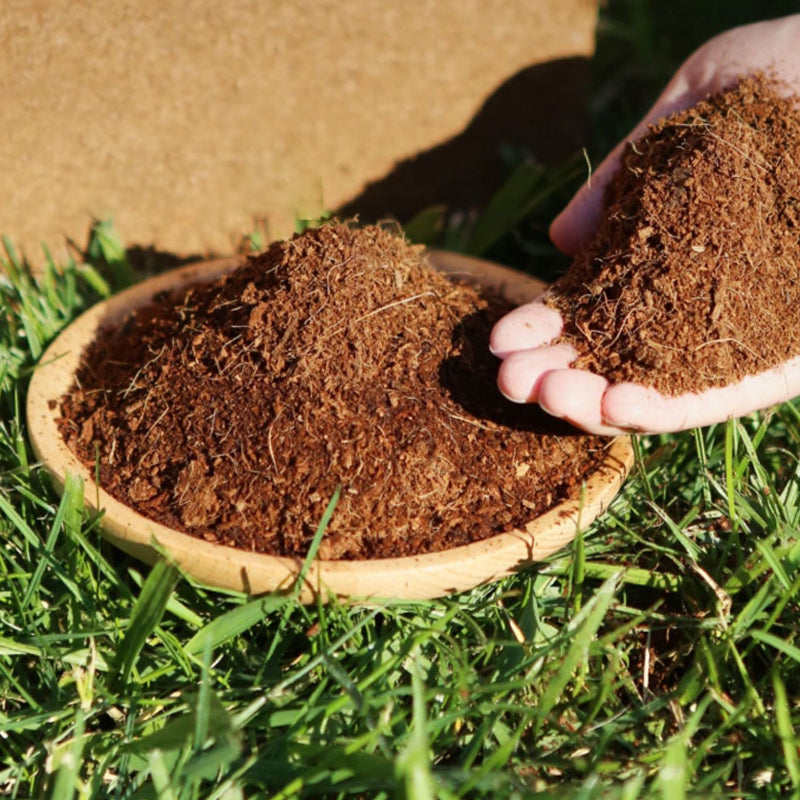 Prevents Moisture Loss and Effortlessly Supports Plant Growth