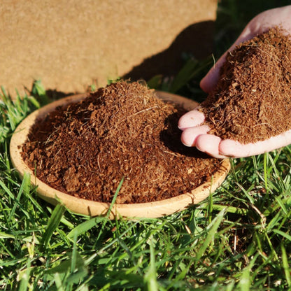 Prevents Moisture Loss and Effortlessly Supports Plant Growth