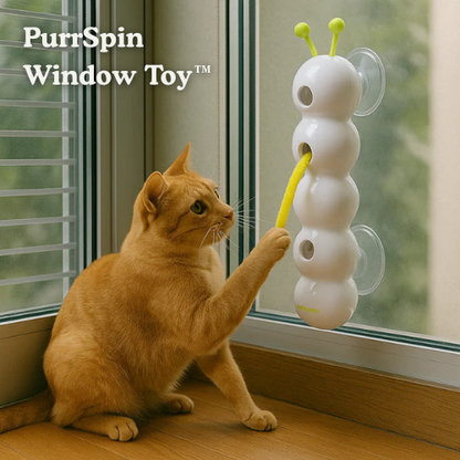 Window Play Station for Cats | 40 cm Interactive Toy