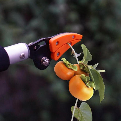 Tree Branch Cutter – Easily Reach and Trim High Branches