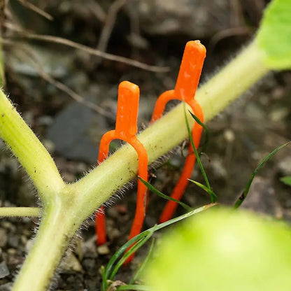 25+25 FREE | Keep Plants Upright and Healthy All Season Long