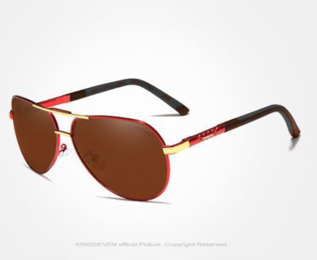 Men's Polarized Sunglasses in Vintage Aluminum Frame