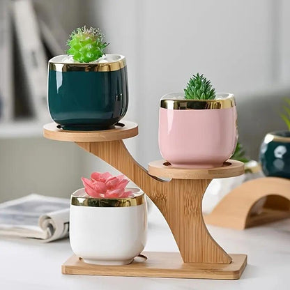 Stylish and Instant Plant Organization and Display with Eco Bamboo