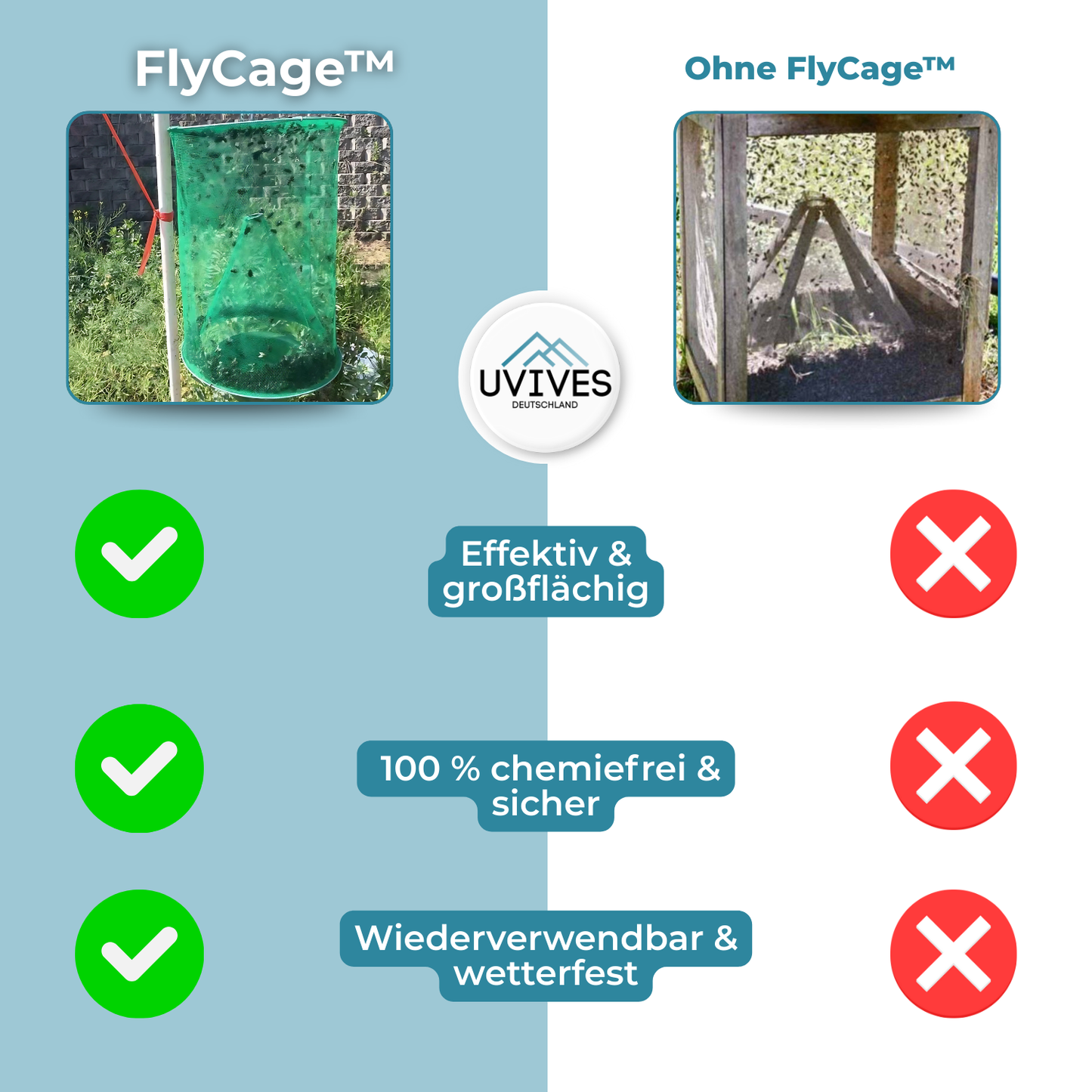 Fly Trap – Say Goodbye to Flies in Home and Garden