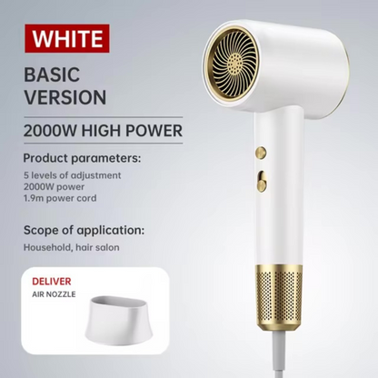 Salon-Quality Hair Dryer for Fast and Effortless Styling