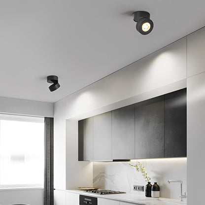 Round LED Spotlight with Adjustable Design