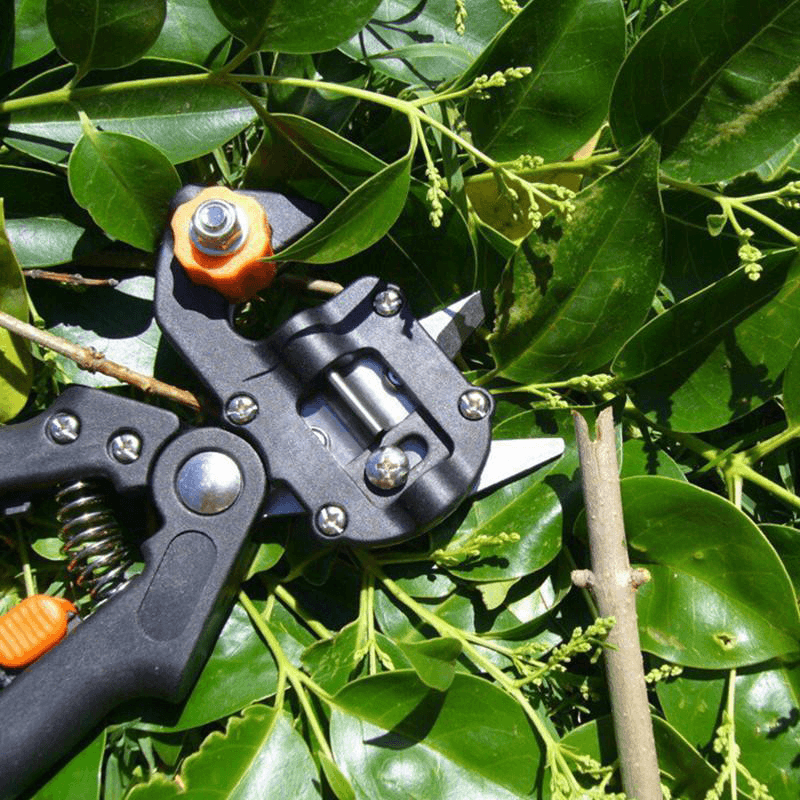 Garden Grafting Tool Set for Professionals