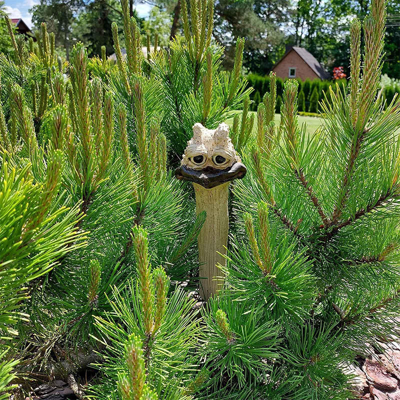 Charming Garden Decoration with Personality - Fun Design