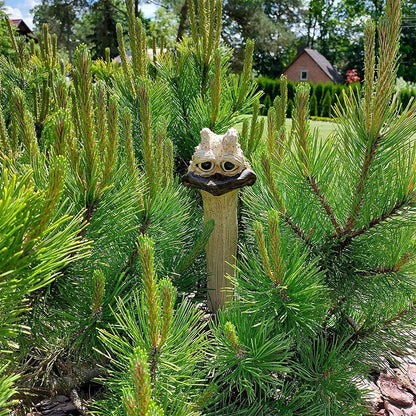 Charming Garden Decoration with Personality - Fun Design