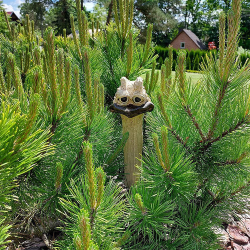 Charming Garden Decoration with Personality - Fun Design