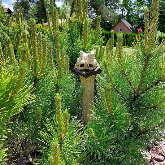 Charming Garden Decoration with Personality - Fun Design