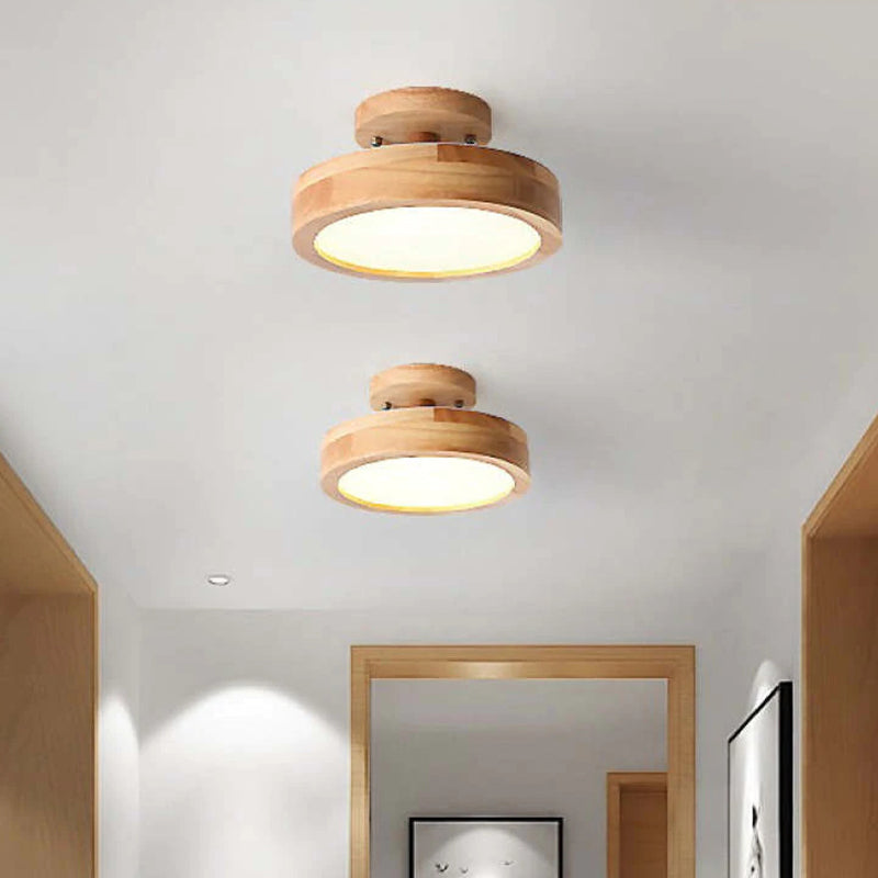Contemporary LED Ceiling Light Fixture