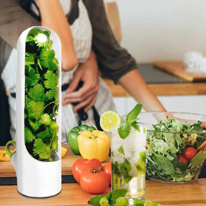 Buy One Get One Free | Fresh Storage Container for Vegetables and Herbs